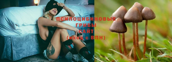 молекула духа Абинск