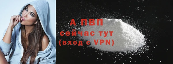 СК Ростов
