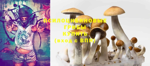 молекула духа Абинск