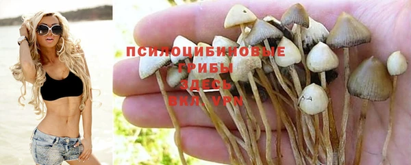 молекула духа Абинск