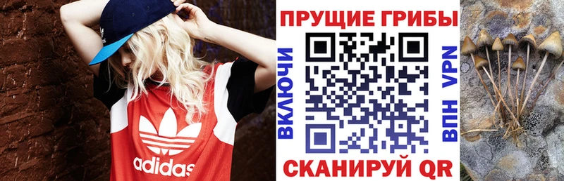 Галлюциногенные грибы мухоморы  Вытегра 